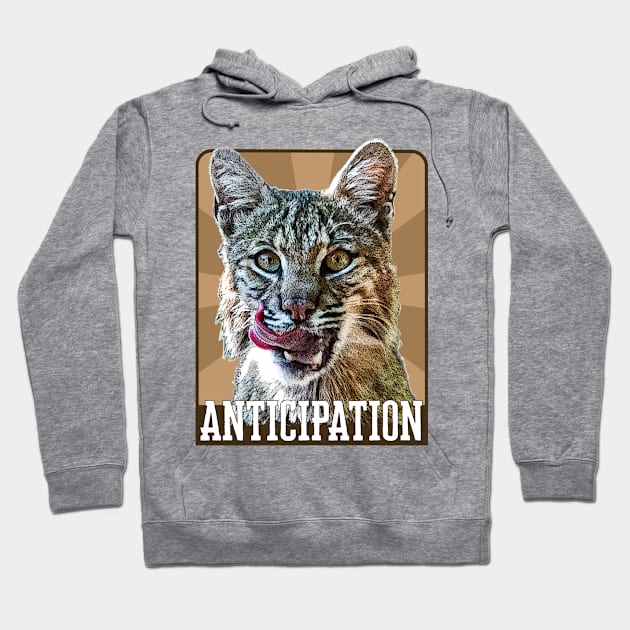 Anticipation- bobcat Hoodie by Ripples of Time